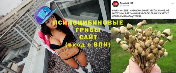сатива Красноперекопск