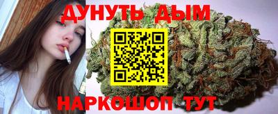 спиды Дубна