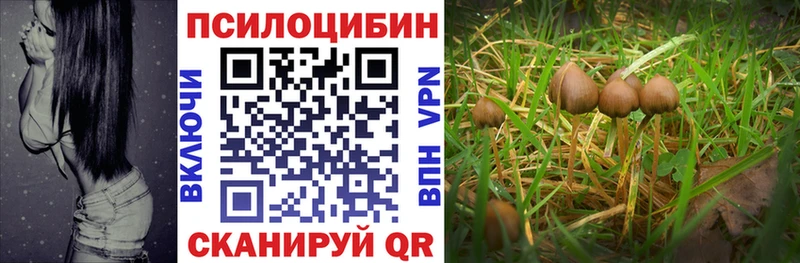 Галлюциногенные грибы прущие грибы  Лосино-Петровский 