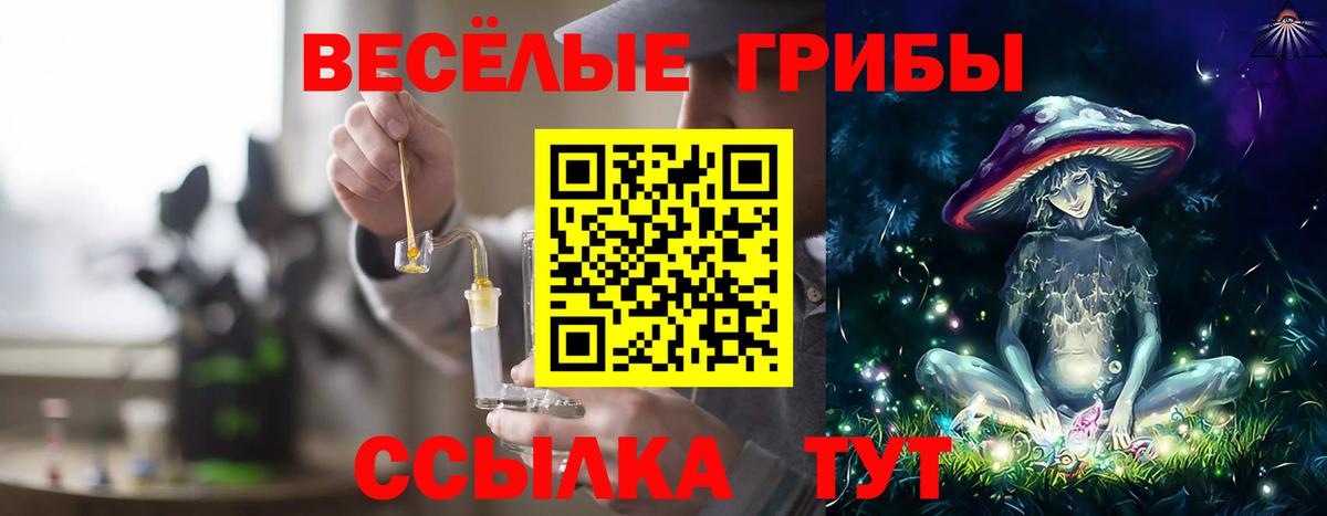 Галлюциногенные грибы Psilocybe  Вход с VPN  Псилоцибиновые грибы Cubensis  дарнет шоп  Лосино-Петровский 